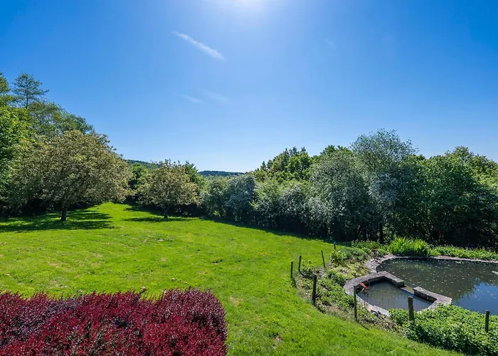 Sous Le Cielle D'ardenne